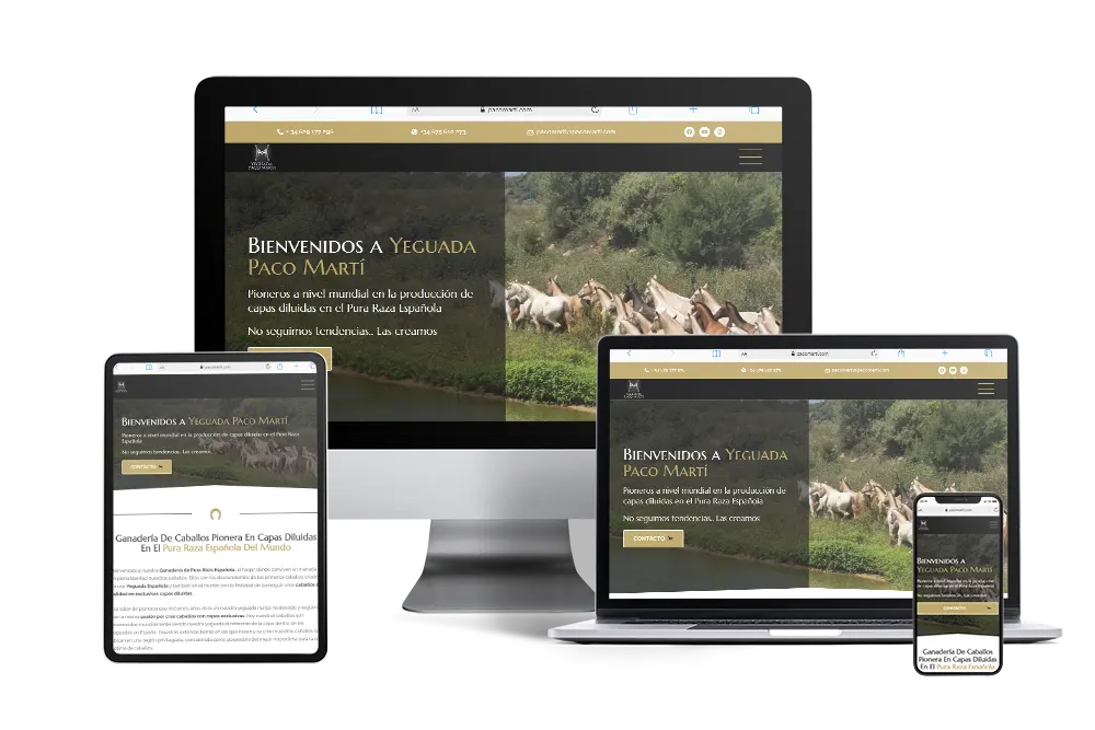 diseñador-web-castellon